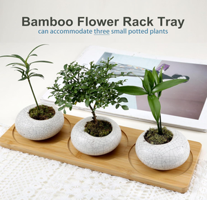 Plante <span class=keywords><strong>de</strong></span> seuil <span class=keywords><strong>de</strong></span> <span class=keywords><strong>fenêtre</strong></span> multifonctionnelle Plateau en bois <span class=keywords><strong>pour</strong></span> plantes <span class=keywords><strong>de</strong></span> table Sous-verres <span class=keywords><strong>pour</strong></span> plantes succulentes Soucoupes <span class=keywords><strong>pour</strong></span> jardinières en bambou - Product Image 3