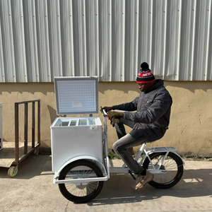 Tricycle électrique à assistance au pédalage à prix avantageux, chariot de vente ambulante avec congélateur à coffre profond, vélo commercial, chariot de vente de glaces, vélo avec congélateur de 68 litres - Product Image 6