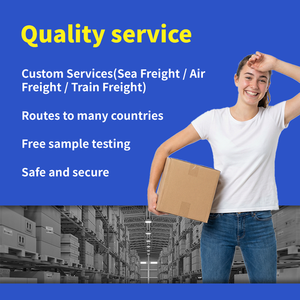 Venta caliente Paquete de carga de China DDP Agente de envío rápido y barato local para EE. UU. Y Canadá Transporte marítimo de carga por aire + Express - Product Image 4