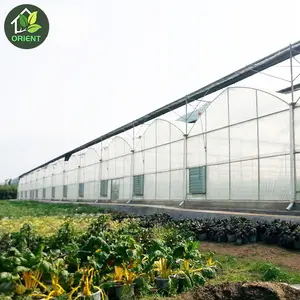 Mini estructura de acero de una sola pieza para agricultura, marco de invernadero, película de plástico, invernadero con sistema de ventilación y sistema de refrigeración