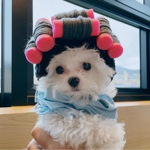 En stock, pelucas rizadas de estilo coreano, cortes de pelo y disfraces para perros, gatos y perros pequeños. - Product Image 1