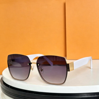 Lunettes de soleil polarisées unisexes surdimensionnées à monture intégrale dégradée, verres PC, style mode, protection UV400, pour la conduite, la plage et les activités de plein air