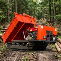 Camion benne sur chenilles 3 tonnes économique CE EPA Euro 5 pour l'exploitation minière, machine de terrassement, benne sur chenilles hydraulique