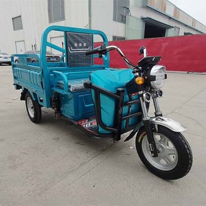 Nuovo Modello di Triciclo Elettrico da Carico a 3 Ruote per Adulti Economico con Display Box da 1000W Bici Elettrica Commerciale per Adulti - Product Image 5