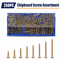 Kit d'assortiment de vis à tête fraisée pour aggloméré, 250 pièces, attaches pour bois, emballé dans une boîte en plastique pour l'installation de meubles d'atelier