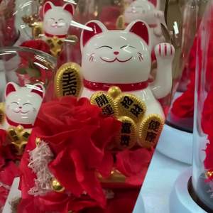 Poupée chat porte-bonheur en céramique cadeau saint valentin avec affichage dôme en verre <span class=keywords><strong>rose</strong></span> préservé pour la décoration de bureau à la maison anniversaire de mariage - Product Image 1