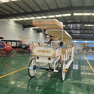 Chariot de tourisme électrique de luxe populaire à 4+1 rangées pour parcs équestres - Product Image 3