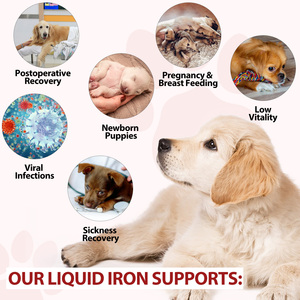 Oimmal Compléments alimentaires à saveur de caramel naturel Supplément <span class=keywords><strong>pour</strong></span> animaux de compagnie Gouttes de fer liquide <span class=keywords><strong>pour</strong></span> <span class=keywords><strong>chiens</strong></span> chats Favorise la santé du sang - Product Image 5