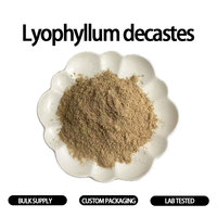 Natuurlijk gedroogd hertengewei-paddenstoelpoeder Lyophyllum Decastes gedroogd fruitlichaam grondstof