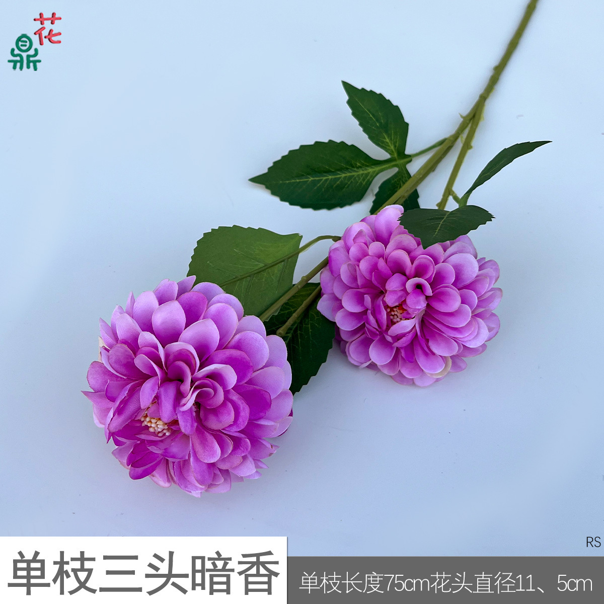 RS (violet) à tige unique, à trois têtes, subtilement parfumé