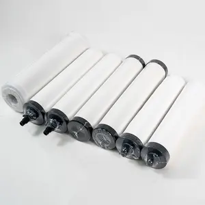 Ningshing oem10 pulgadas plata cargada cerámica filtro de agua carcasa cerámica cartucho purificador sistema