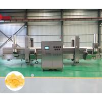 Ligne de production entièrement automatique de chips de pommes de terre et de chips de bananes