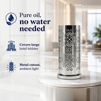 Diffuseur d'huiles essentielles pures 100 ml, sans fil, rechargeable, diffuseur d'arômes sans eau, pour hall d'hôtel, décoration intérieure, vente directe usine, personnalisable