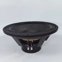 Subwoofer Profesional de 18 Pulgadas con Cono de Fibra de Carbono y Neodimio para Sistemas de Sonido Line Array