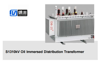 Transformateur de distribution immergé dans l'huile Nachuan S13 10KV