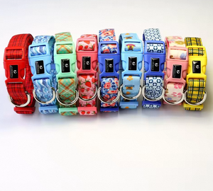 Factory Best Multi-Farben Premium Nylon Gurtband Personal isierter Druck Verstellbares Hunde halsband für Haustiere - Product Image 1