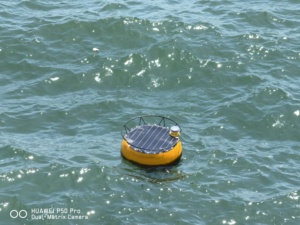 Phao Sóng 700Mm Có Cảm Biến - Product Image 4