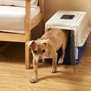 Panier de transport pour animaux de compagnie, accessoire de voyage, pour les animaux, grand, chiot, chiens, Cargo - Product Image 6