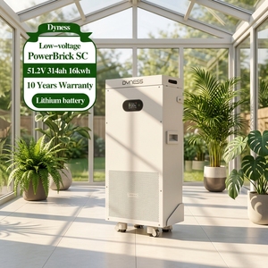 Batterie LiFePO4 Dyness PowerBrick SC 16,076 kWh 51,2 V 314 Ah, 8000+ cycles, 50 unités en parallèle, stockage d'énergie solaire domestique - Product Image 1