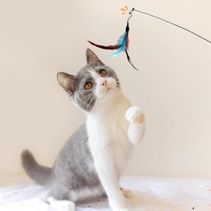 Jouet pour chat rétractable à ventouse avec mouvement et plumes pour le jeu autonome - Product Image 6