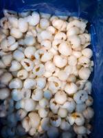 100% natuurlijke IQF diepvries lychees, geheel ontpit, voor gezonde maaltijdvoorbereiding en veganistische voedingsmiddelen, bulkverpakking