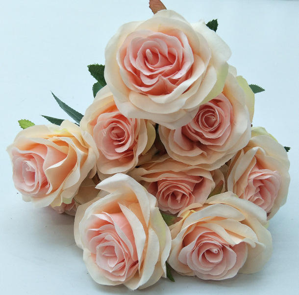 10 têtes de poudre de champagne Xi Shi Mei