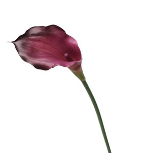 Flores artificiales Calla Lily Real Touch Calla Lily Branch Flores de Borgoña para la decoración del hogar Arreglo floral Decoración interior - Product Image 5