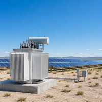 Transformateur triphasé immergé dans l'huile 50/150/315 kVA 11/33 kV pour la modernisation des réseaux ruraux S11, réservoir scellé, ANSI 50Hz 60Hz, prix OEM