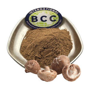 Порошок гриба лентинус эдодес (шиитаке), экстракт гриба шиитаке оптом - Product Image 1