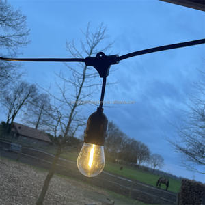 Edison S14 LED ampul 48ft 10m esnek kırılmaz su geçirmez noel dize işık bağlanabilir bahçe çardağı veranda Cafe dekor - Product Image 3