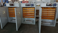 Incubateur solaire automatique pour 1056 œufs de poulet, canard, oie, caille, taux d'éclosion élevé, machine d'incubation avicole à économie d'énergie HJ-SI7