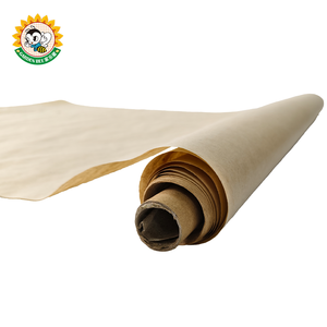 Film de paillage agricole biodégradable à cycle court pour application sur les cultures, idéal pour la culture des légumes et la protection des jardins. - Product Image 2