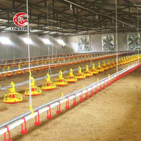Ligne d'alimentation et d'abreuvement entièrement automatique pour poulets d'élevage au sol