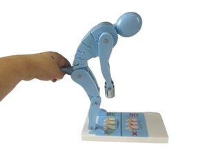 Modelo de demostración de fuerza lumbar de columna vertebral humana para <span class=keywords><strong>postura</strong></span> de levantamiento de pesas - Product Image 4