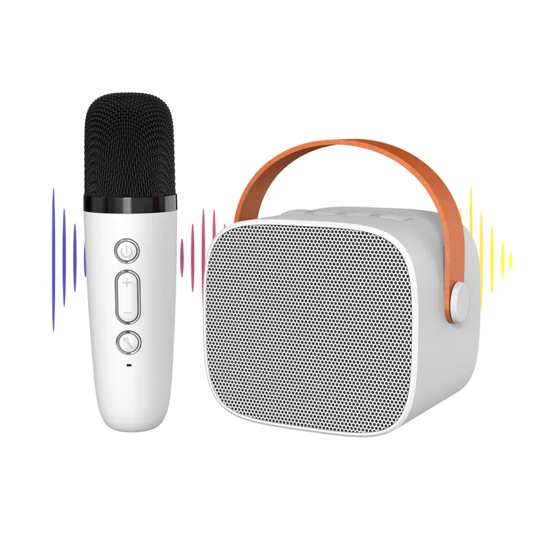 2023 Hot Bán Mini Xách Tay Bt5.0 Bluetooth Loa Karaoke Duy Nhất Và Kép Microphone Cho Đảng Cho Nhà Cho Sinh Nhật