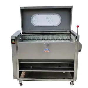 वाणिज्यिक ब्रश वॉशिंग मशीन भोजन सफाई मशीन फल और सब्जी सफाई उपकरण