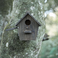 Nichoir pour oiseaux en bois de paulownia coloré style DIY fait à la main avec éclairage pour petits oiseaux Cage suspendue Décoration de jardin extérieur