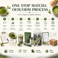 Poudre de smoothie matcha instantané antioxydant Oazvita pour mélange de boissons de café pour adultes - Fournisseur