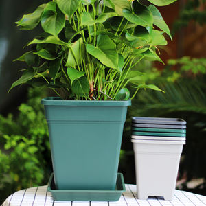 Carré Changsheng <span class=keywords><strong>Aoyama</strong></span> pot de roses en plastique pour plantes d'intérieur, pot de fleurs, pots de jardinières - Product Image 6