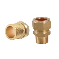 Raccord de compression mâle droit en laiton, filetage mâle, raccord de tuyauterie robuste, adaptateur de tube en cuivre pour la réfrigération