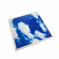 Panneau LED Skypanel personnalisé 595x595mm 40W, ciel bleu, nuages blancs, panneau LED décoratif pour plafond d'hôpital, salle de classe