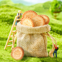 Sanniu Evergreen Galletas Crujientes Saladas Galletas 400g Venta Al por Mayor Snacks Comida de Emergencia Snacks Exóticos Máquina para Hacer Galletas