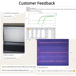 Tinzyme 猪圆环病毒3型（PCV-3）核酸检测套件（荧光PCR方法） - Product Image 2