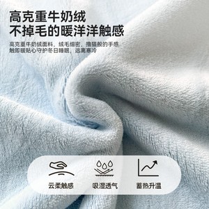 Milk Fleece Bedding Set Solid Color Thickened Warm Breathable Home Use 1000g 1500g Sheet Style - Product Image 5