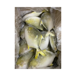 Pompano Dorado Congelado, Pescado Pomfret, 400-500 g, Pompano Dorado de Cultivo en China - Product Image 3