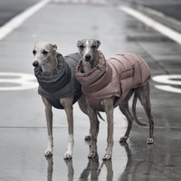 Ropa para Perros Levi, Abrigo Acolchado de Algodón de Dos Patas, Grueso, Cálido, Impermeable y Cortavientos, para Otoño e Invierno, Venta al Por Mayor