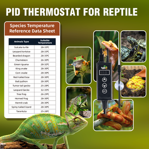 रेटाइल पालतू जानवरों के लिए स्मार्ट पर्यावरण के अनुकूल तापमान नियंत्रक 110 वी-240v सुरक्षित और सुविधाजनक पालतू उत्पाद - Product Image 4