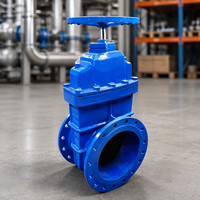 Vanne à opercule manuelle en fonte ductile à brides PN16 avec joint souple EPDM pour le contrôle de l'eau DN 300-DN1200