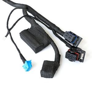 कस्टम ऑटो वायर हार्नेस 100/120/150/200/300/350/400 मिमी 2*0.5 mmm² 2*0.5 mm² 2*0.5 2*1.5 mm² 2*2.5 mm² कार तार दोहन - Product Image 1