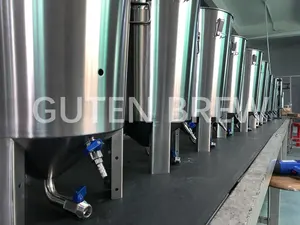 Fermenting equipment 30L-32L/ Brewing beer fermentor/Mini Conical fermenter